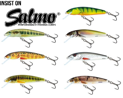 Salmo minnow crankbait - minnow,