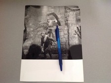 THIERRY LA FRONDE   - PHOTO DE