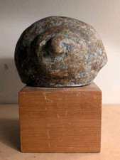 Coquillage Pique Fleur Ou Cierge Céramique Émaillée Dlg 2 Potiers Jacques Serre 