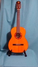 DiGiorgio Guarany-C2 Classical