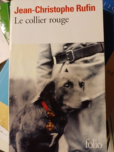 Jean christophe rufin - rufin, le
