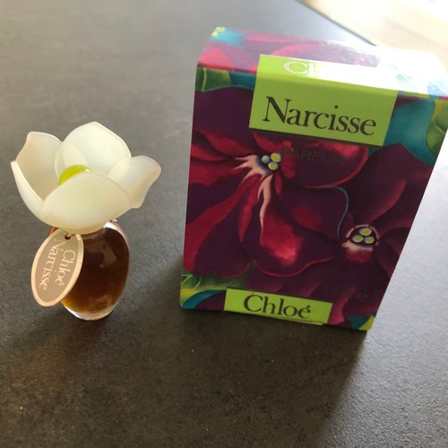 Miniature narcisse chloe - de,
