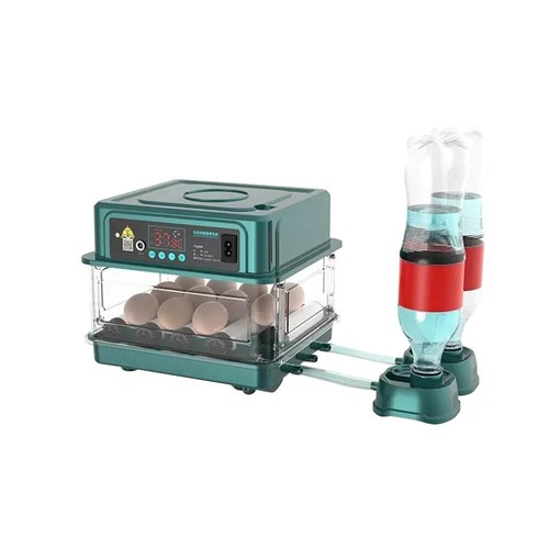 Couveuse oeuf automatique - automatique, 10