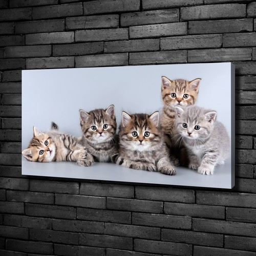 Tulup tableaux sur toile image - tulup,