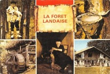 LA FORET LANDAISE - Le berger - le moulin à eau - la gaveuse d'Oie