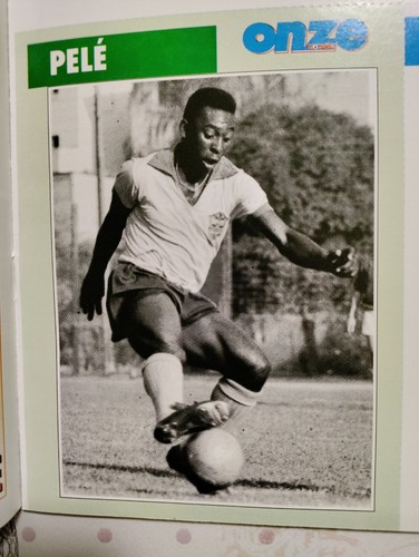 Pele fiche onze mondial 1999 - /fiche,