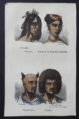 Buffon début 19ème gravure - buffon,