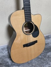 Guitare acoustique électrique
