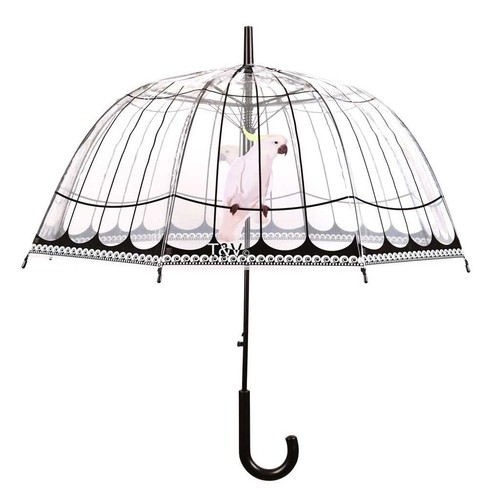 Parapluie transparent avec - parapluie,