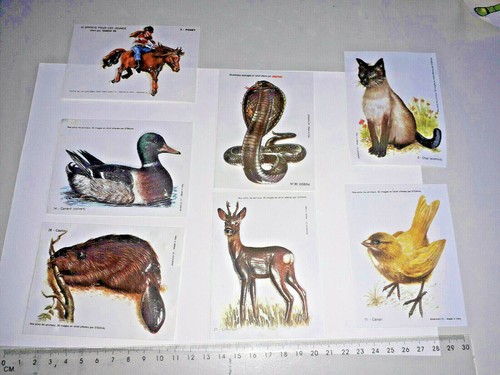 Images relief stenval - 7,