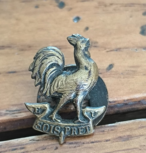 Insigne boutonnière scout - boutonnière,