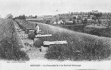 Xertigny - La Faisanderie - Un sentier d'élevage