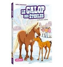 Le galop des étoiles. Vol. 5