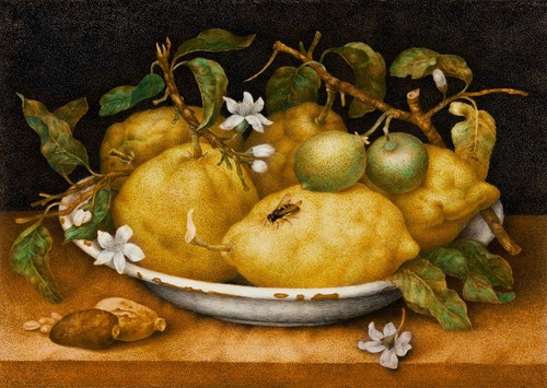 Nature morte élégante - , art