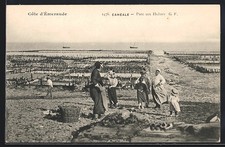 CPA Cancale, Parc aux Huîtres, Austernpark avec Helfern 