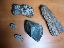 Lot  4 PIERRES - MINERAUX - Fossiles - divers à identifier.