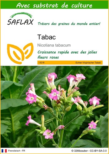 Saflax tabac 250 - tabac, graines