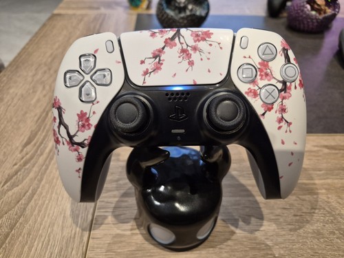 Dualsense ps5 custom - 🌸,