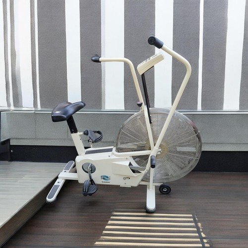 Schwinn giant airdyne dual - schwinn,