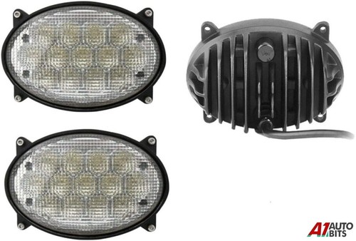 39w ovale remplacement - 2x,