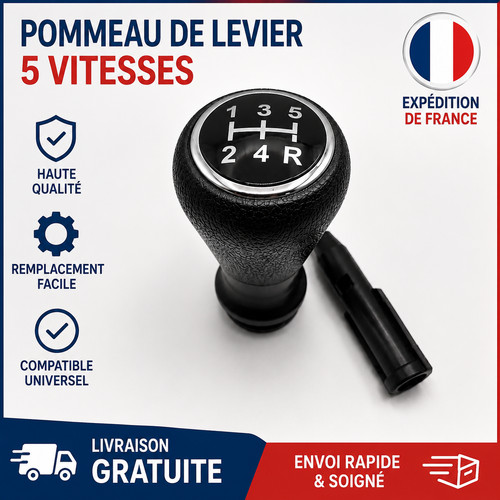Pommeau levier vitesse - pommeau, de