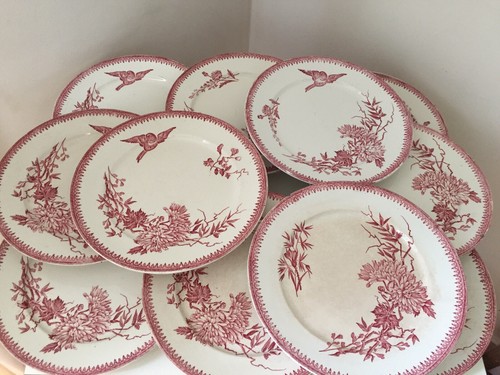 Assiette pexonne terre de - ff,