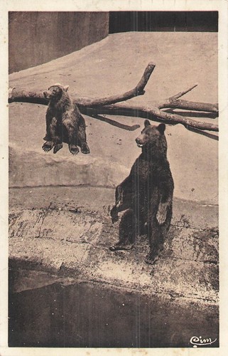 Paris oiseaux parc - 75,