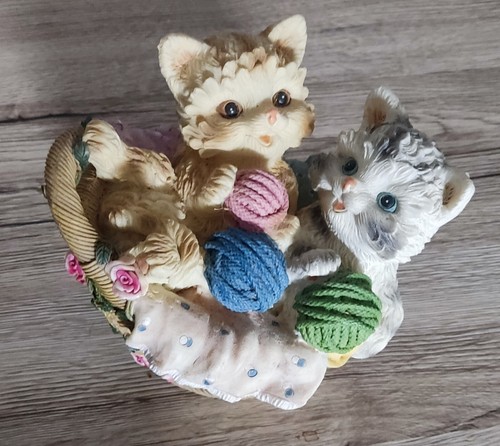 Tirelire chatons dans - chatons,