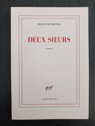David foenkinos deux - david,