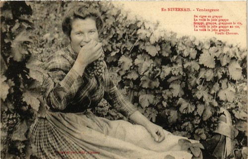 Cpa nivernais vendangeuse - -,
