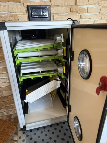 Couveuse oeufs automatique - oeufs,