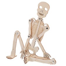Maquette Corps Humain