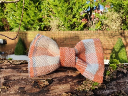 Grand nœud papillon tartan - grand,
