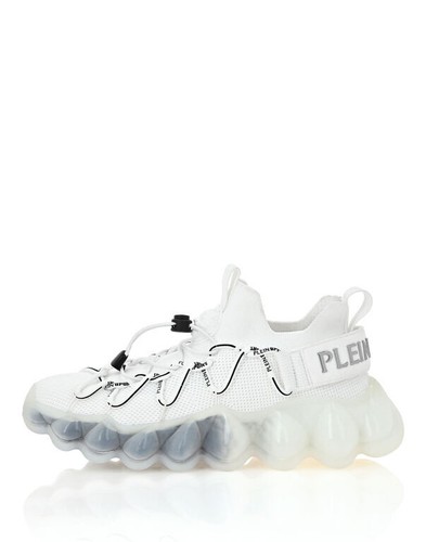 Sneakers femme philipp plein - philipp,