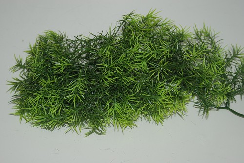 Vivarium réaliste plastique - vivarium,