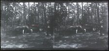 Forêt France c1930 Photo NEGATIVE Plaque de verre Vintage VR16L8n15