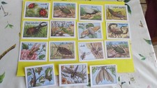 Les insectes lot 15  images