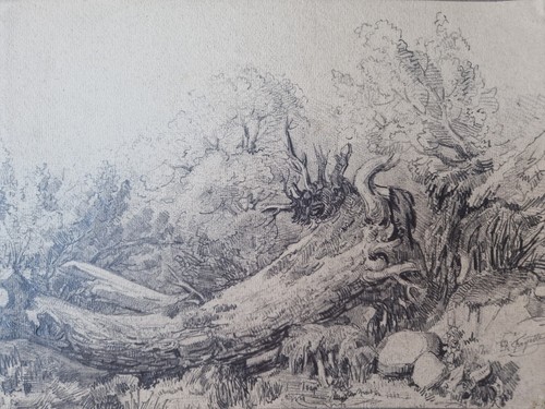 Charmant dessin crayon xix eme - charmant,