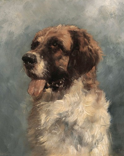 Vintage saint bernard dog - vintage,