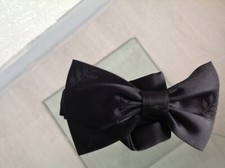 Franc maçon noeud papillon