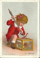 Chromo Cornette La pêche aquarium aquariophilie poisson rouge fish