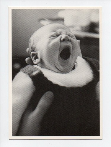 Photographe gilles de - photographe:,