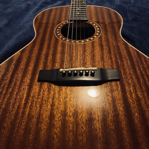 Bedell parlor acoustic - parlor,