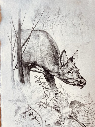 Paul leuquet gravure au - paul,