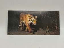 Nestlé MERVEILLES DU MONDE Carte N°223 "le tigre"