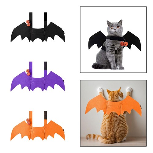 Costume halloween pour chat - costume, d'halloween