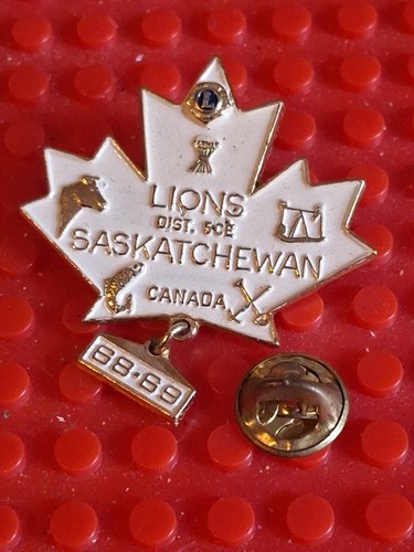 Pin pins lions - pin’s,