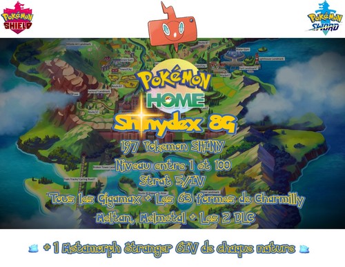 Pokémon epée bouclier 8g - pokémon,
