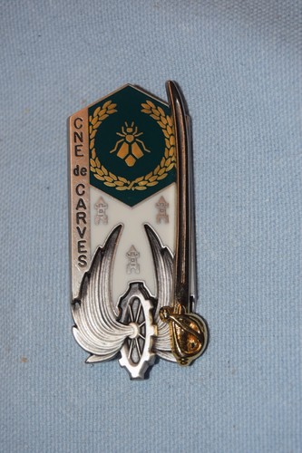 B157 insigne militaire - , pucelle