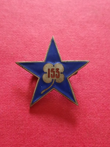 Insigne ses 153 ria - insigne,